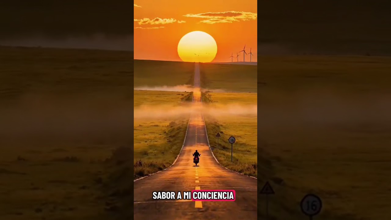 TAL VEZ YO
