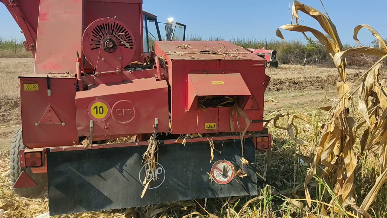 BERBA KURUZA DASNICA SIP TORNADO 40 EOL