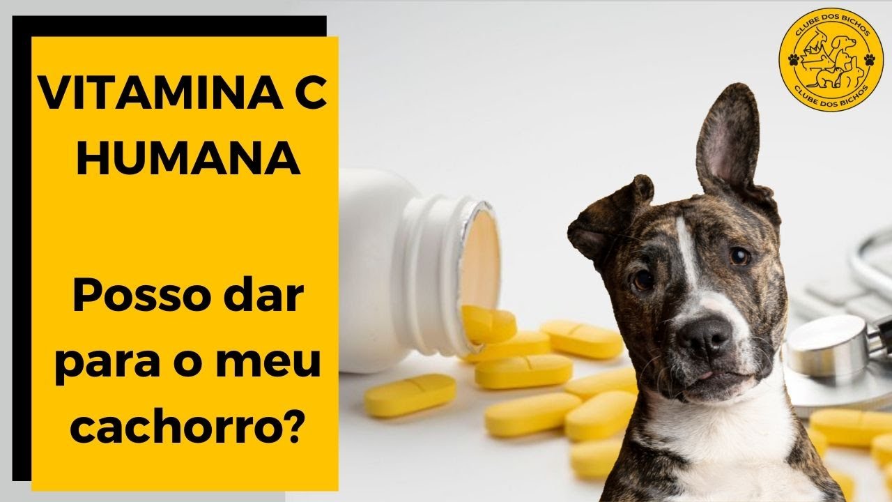 Posso dar VITAMINA C HUMANA para o meu cachorro?