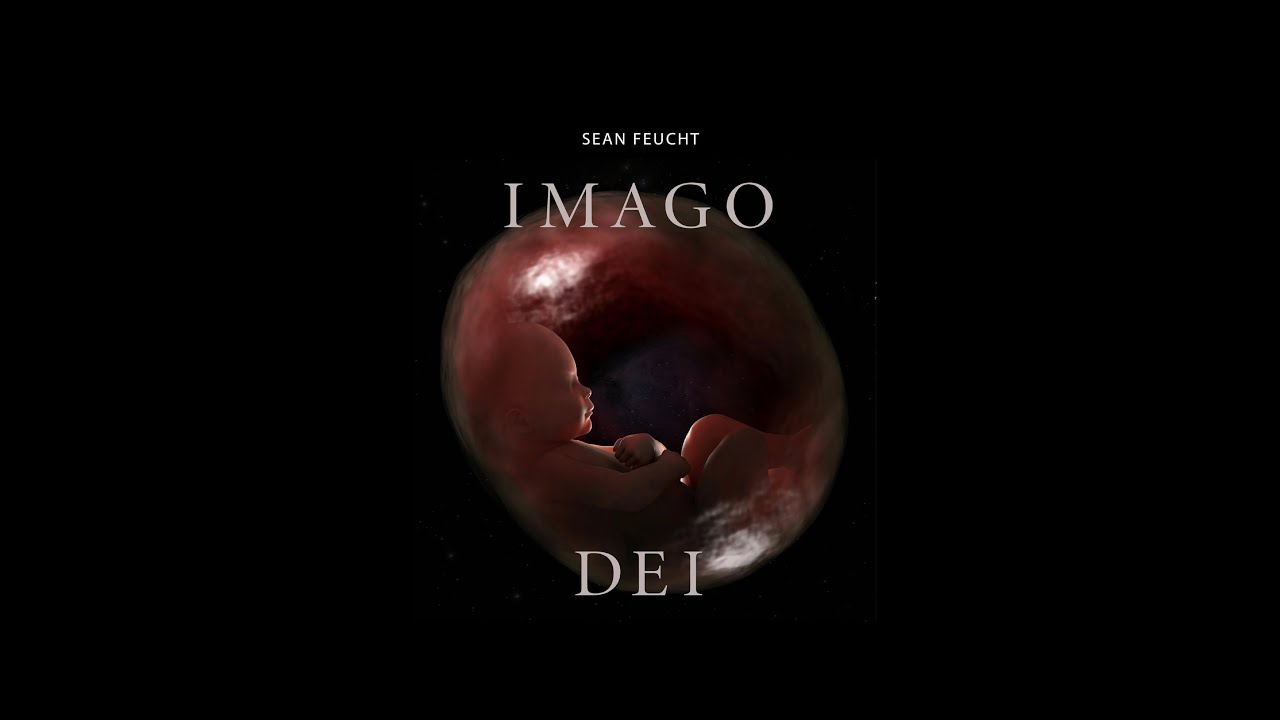 Imago Dei - Sean Feucht