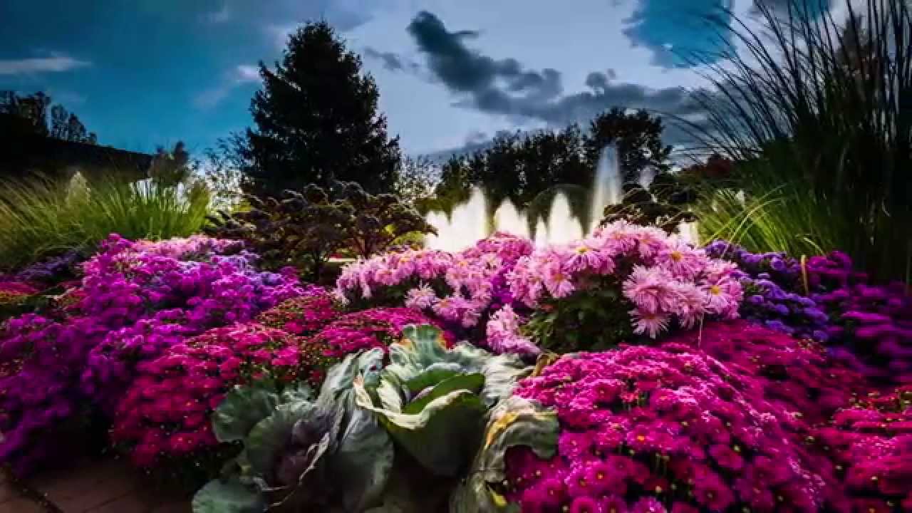 The Chicago Horticultural Society at 125