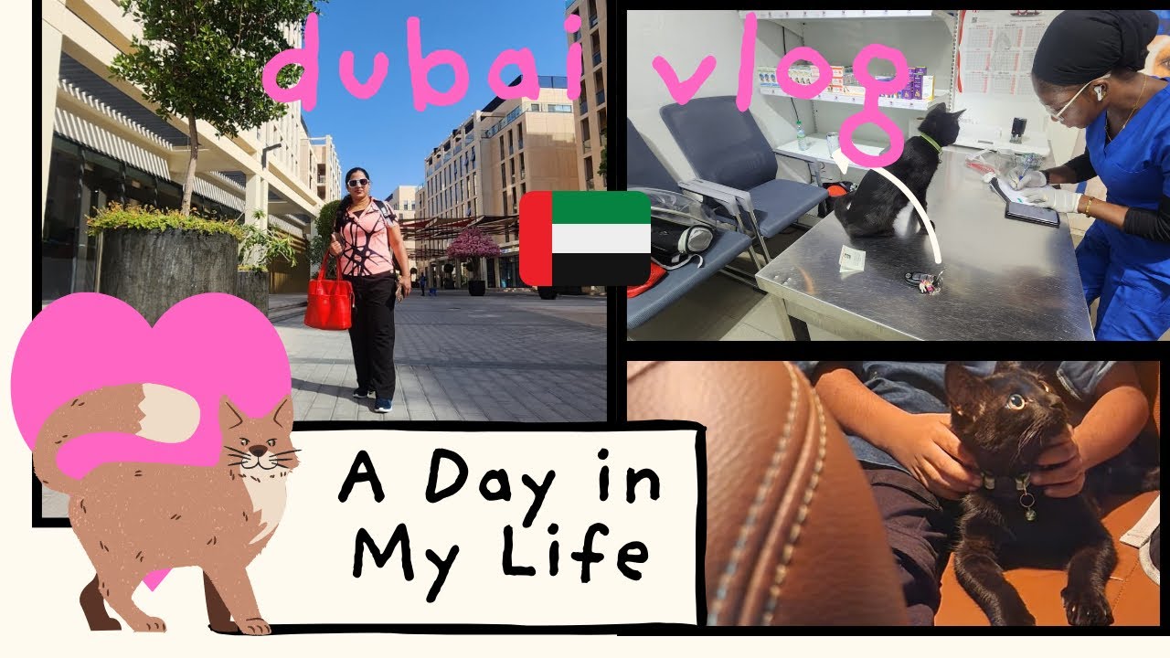 A day in my life # cat vaccinations # Dubai vlogs 