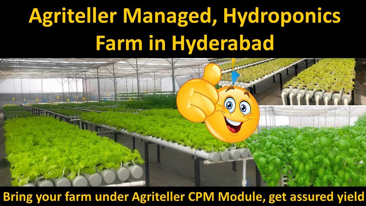 Round Pipe Hydroponics Project Under Agriteller CPM Module | Hydroponics | Basil  Soilless | Lettuce