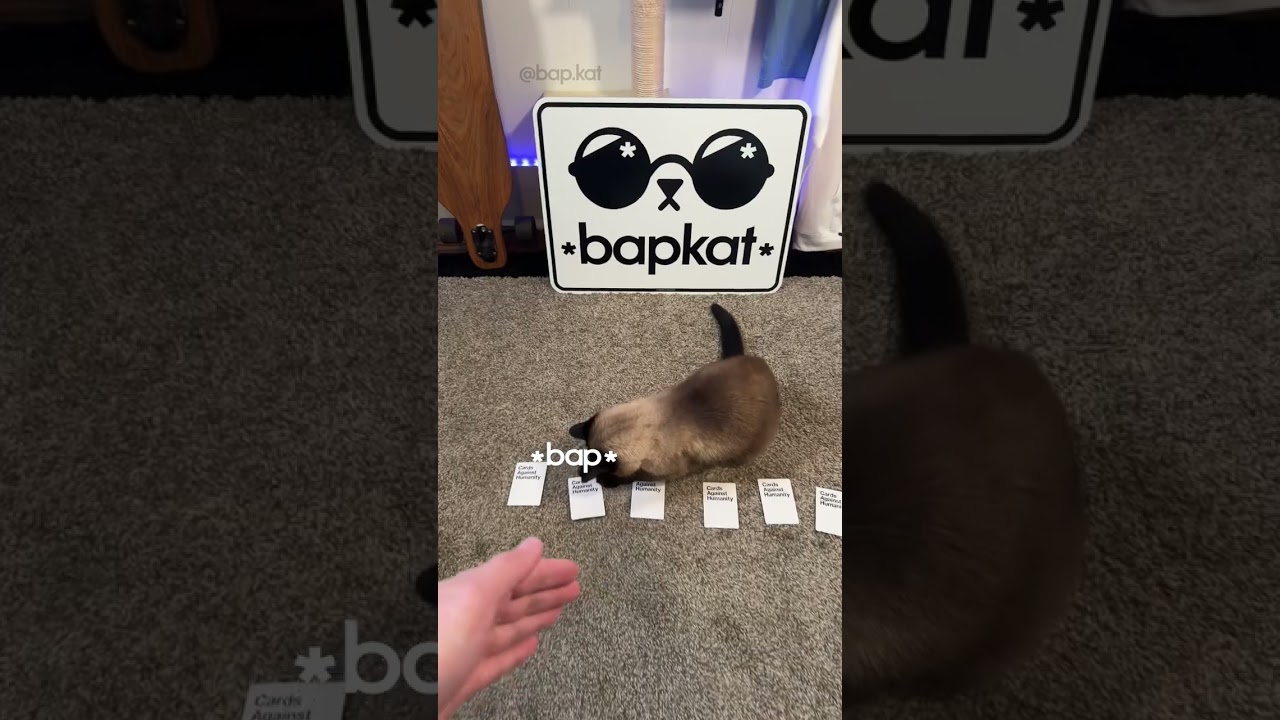 Cards Against Humanity