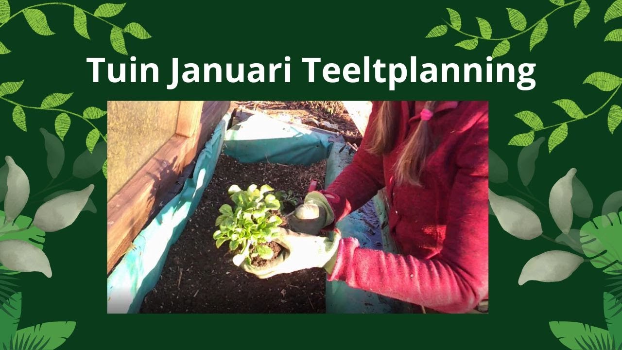 Tuin januari | teeltplanning | wilgen knotten