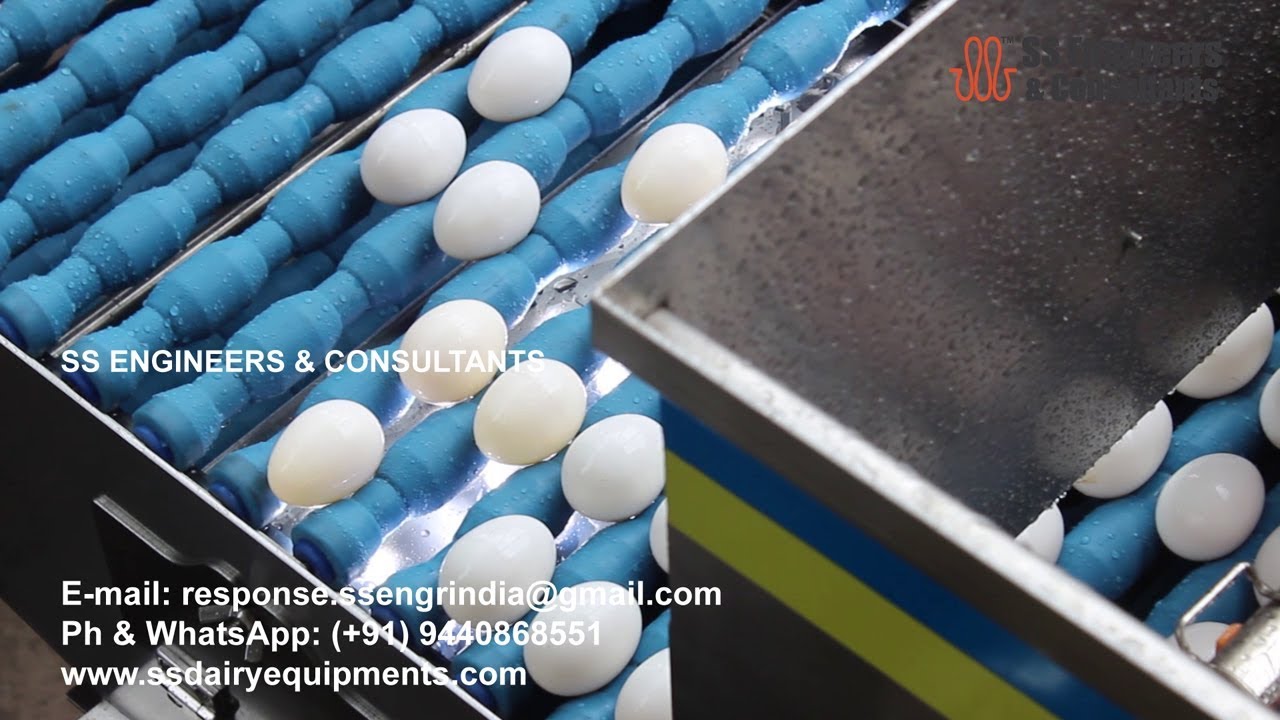 Egg Washer