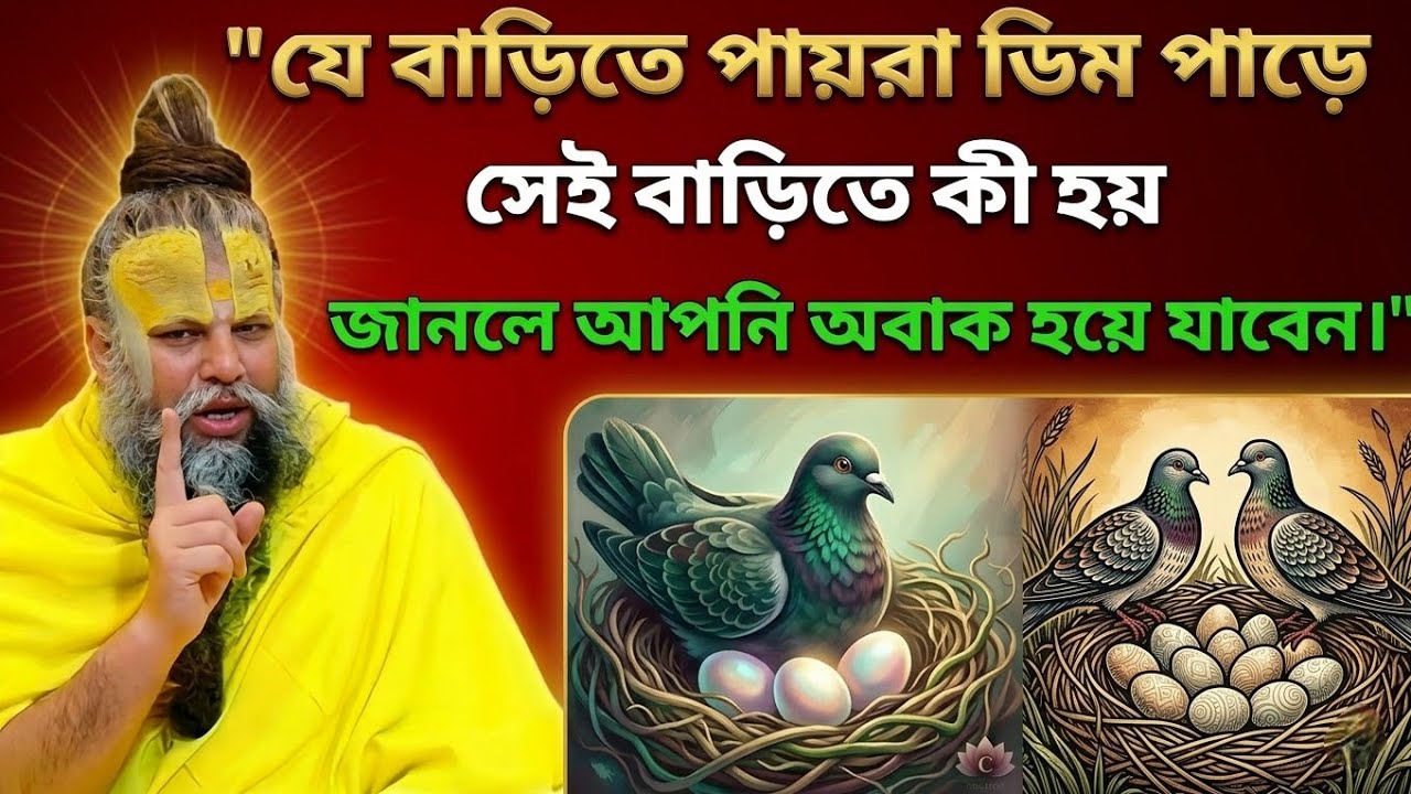 যে বাড়িতে পায়রা ডিম পাড়ে, সেই বাড়িতে কী ঘটে? জানলে আপনার ভাগ্যই বদলে যাবে! Premanand Maharaj ji