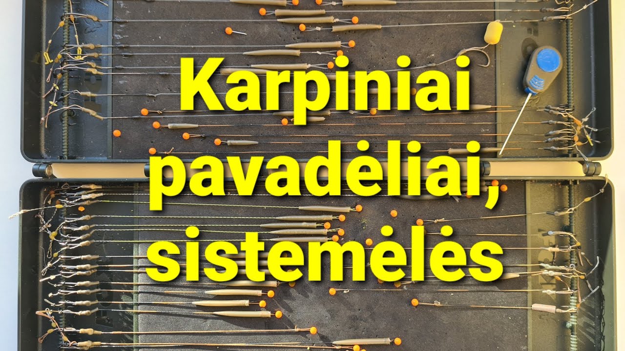KARPINIAI PAVADĖLIAI, SISTEMĖLĖS