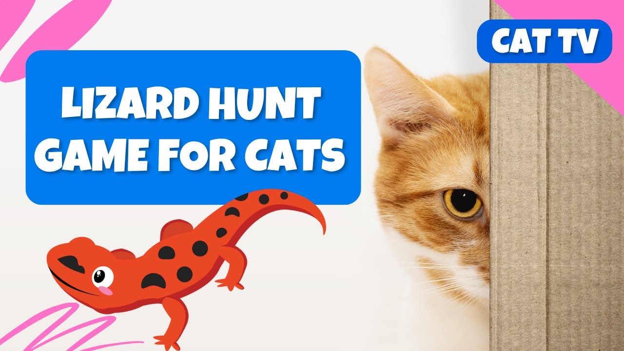 Cat TV | Lizard Hunt Game for Cats 🦎 | No Ads - 4K