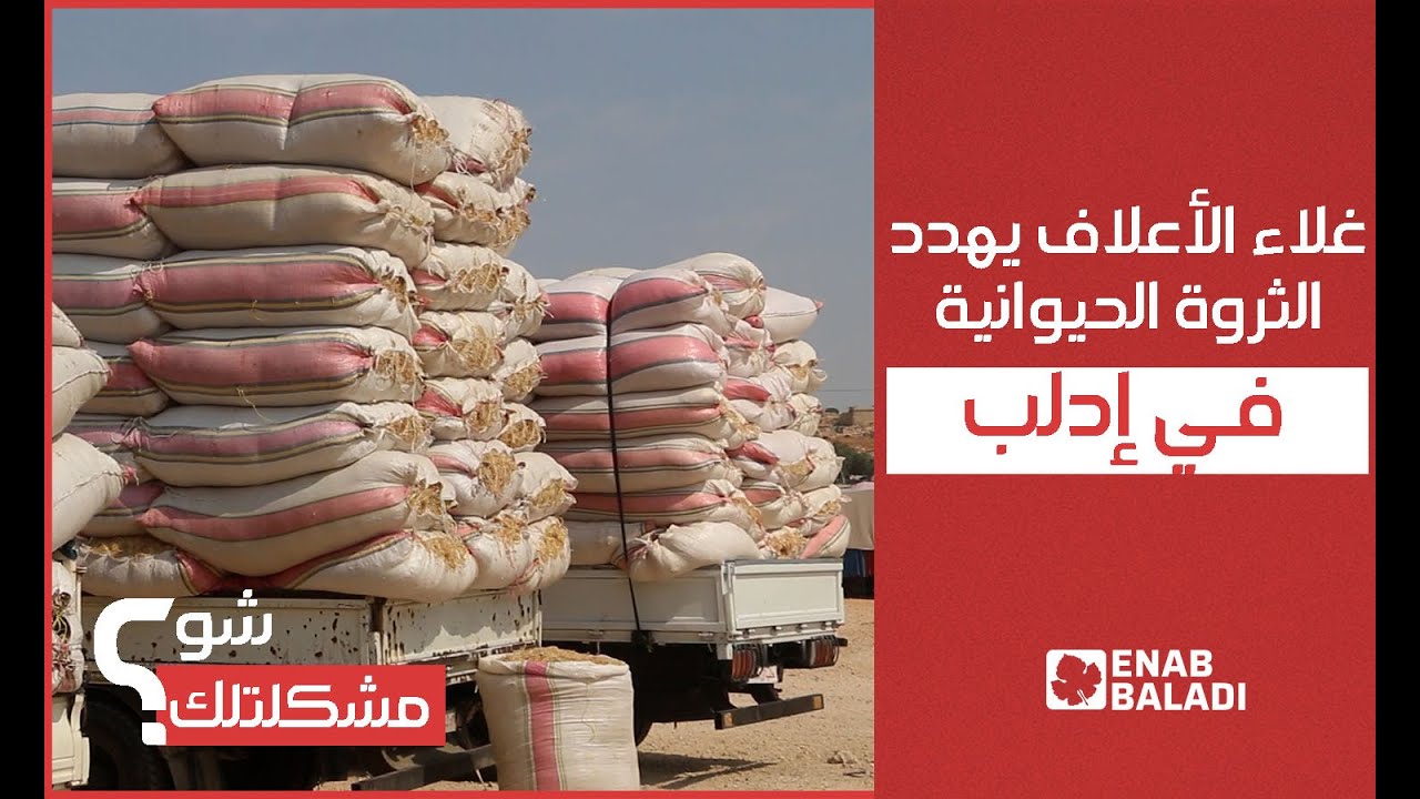 غلاء الأعلاف يهدد الثروة الحيوانية في إدلب | شو مشكلتك