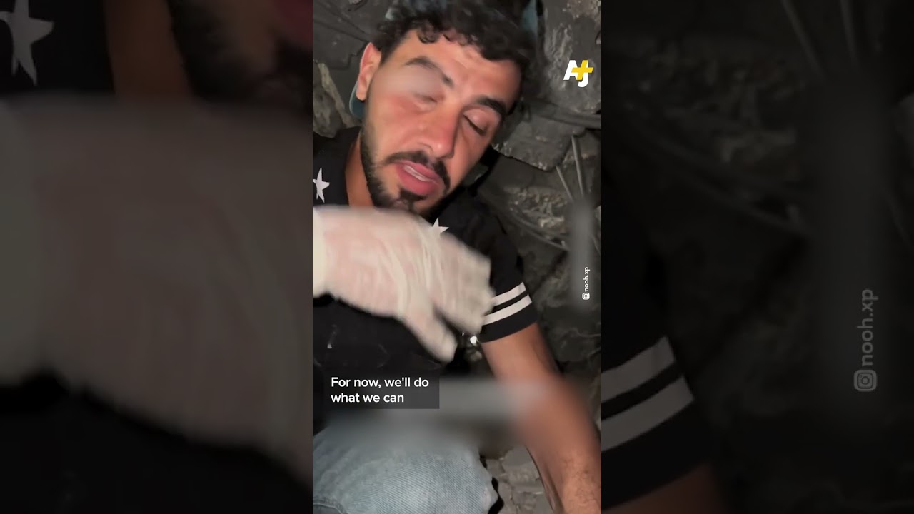 Dog Rescued Under Gaza’s Rubble