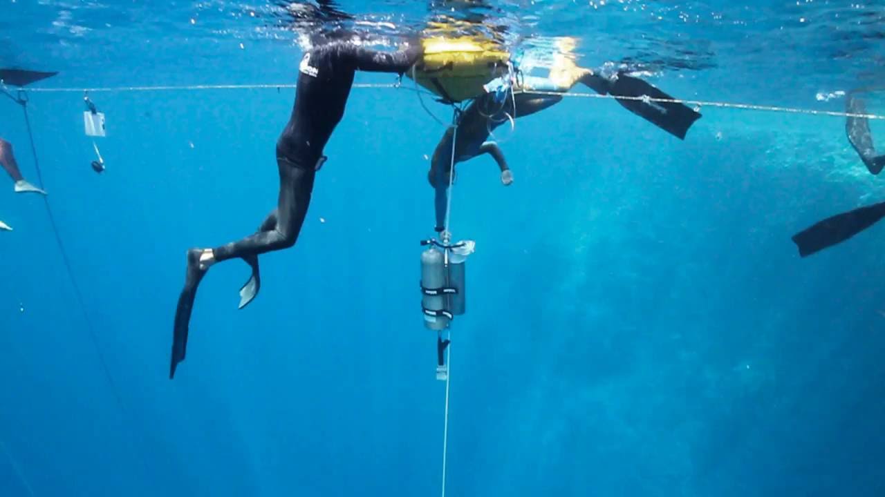 Renee Blundon No-Limits Freediving Training