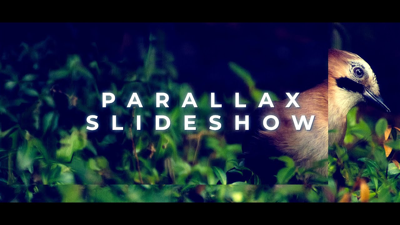 Minimal Parallax Slideshow Animation in After Effects | After Effects Tutorial