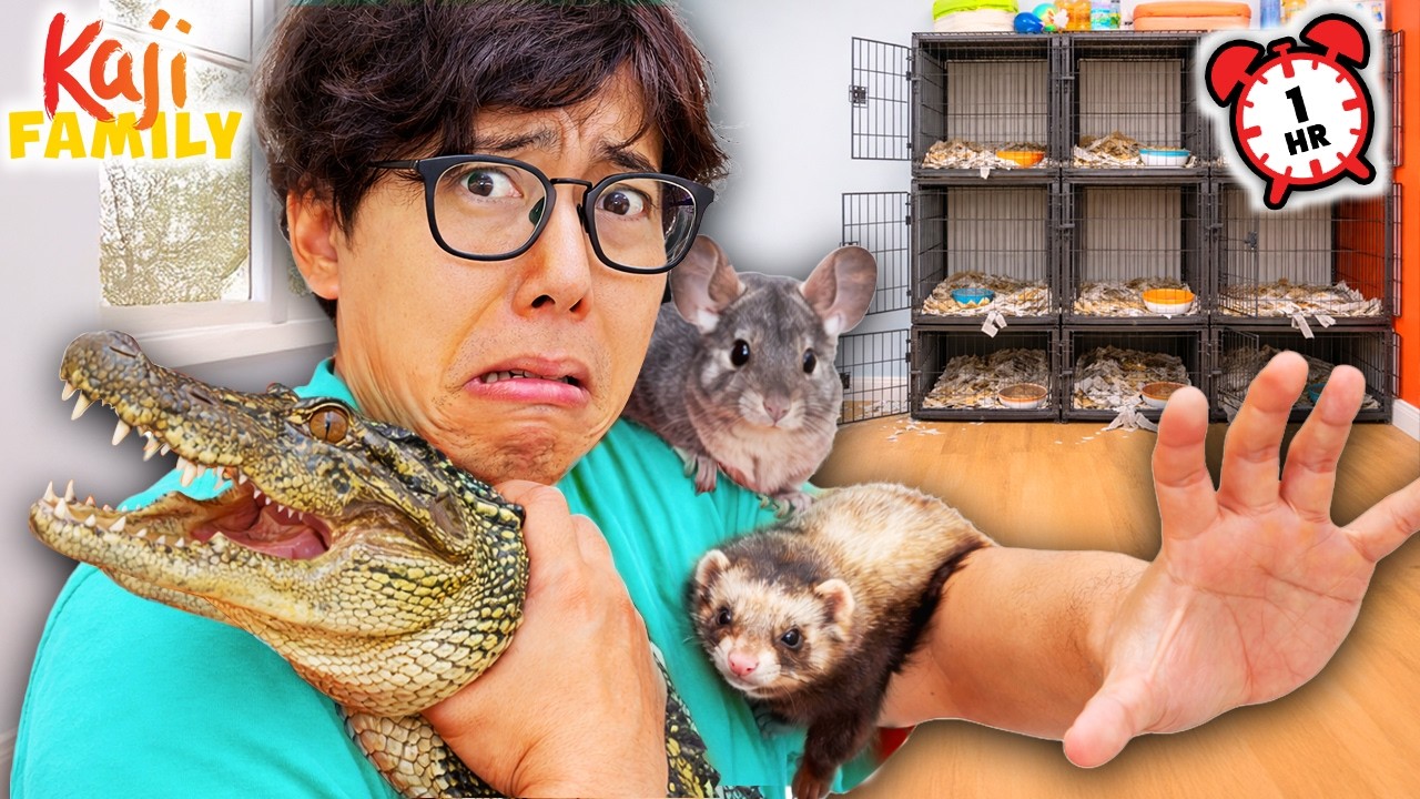 The Case of the MISSING Chinchilla! Our Family Pet RUNS AWAY! 🐹