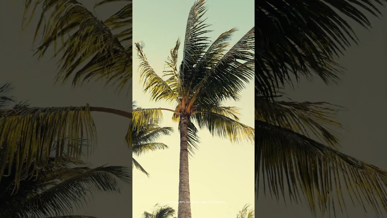 iPHONE 15 PRO MAX CINEMATIC VIDEO: ProRes 422 HQ Test!