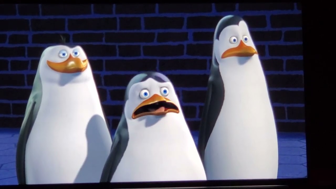 amusing dancing Shanaigans with the penguins of Madagascar