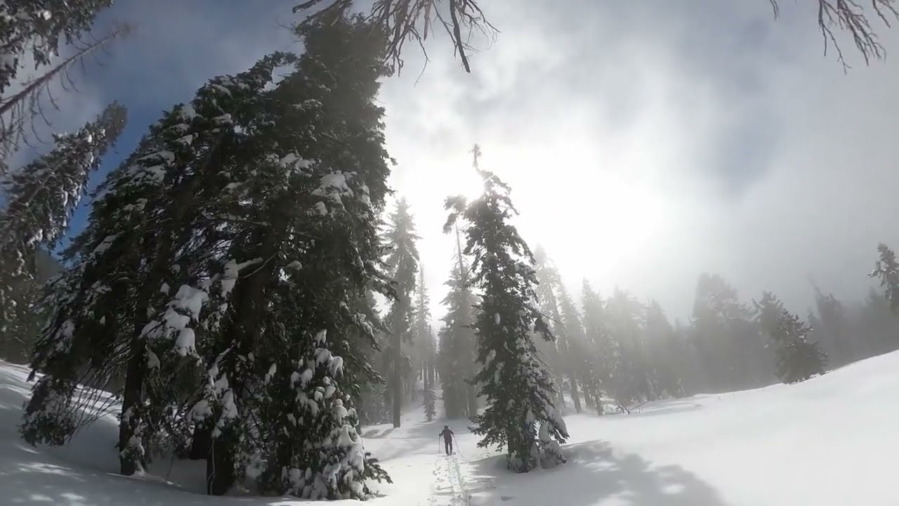 Pear Lake Hut