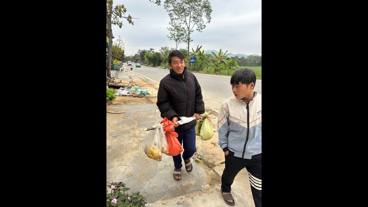 MẬT ONG RỪNG HẠ SƠN VÀ DƯỢC THẢO QUÝ LH: 0916979325