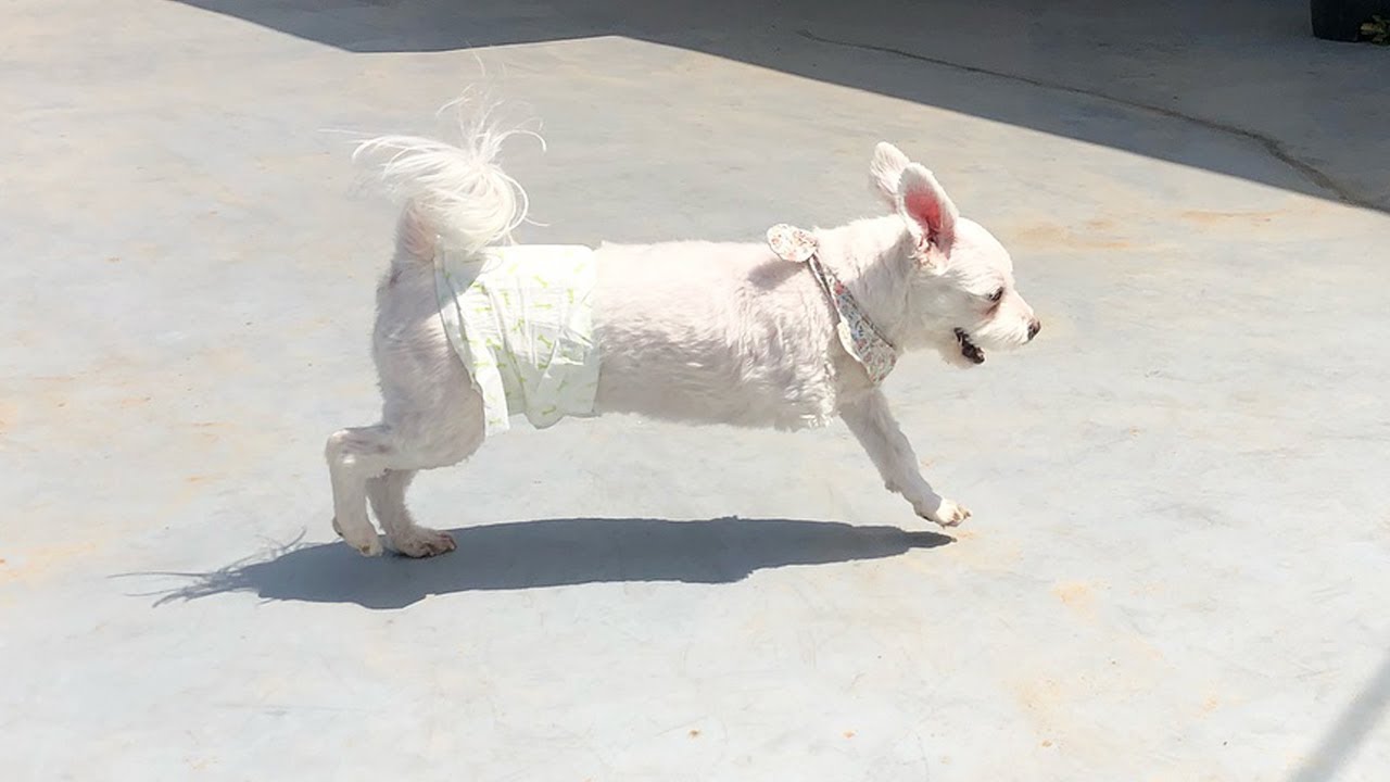 He Lost a Leg and a Chance at Normal Life But Gained Love Family and Purpose