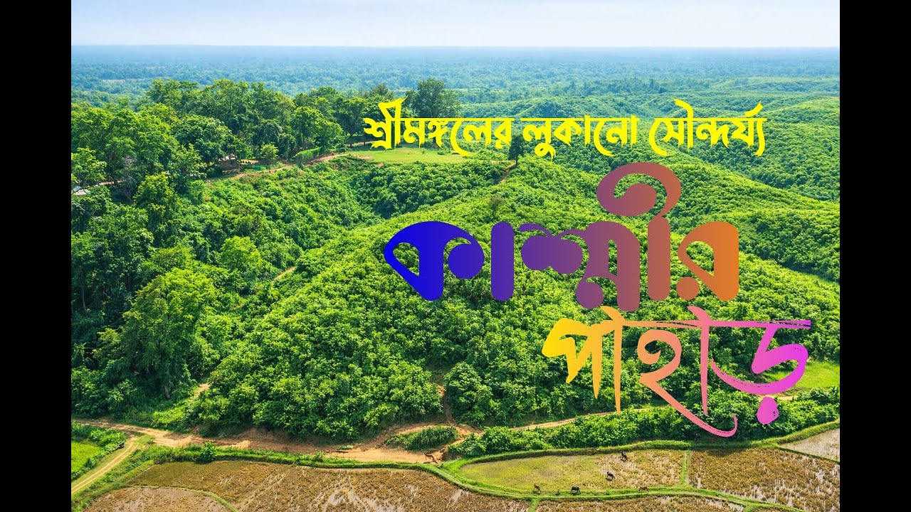 শ্রীমঙ্গলের লুকানো কাশ্মীর পাহাড় | Tea Garden Trek & Hidden Lake | Sreemangal Travel Vlog
