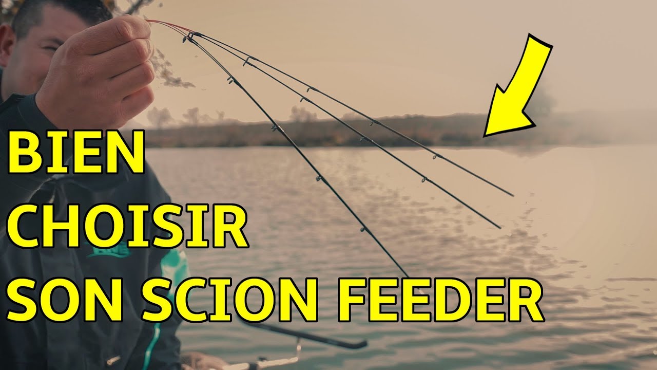 Bien choisir son Scion - Pêche au Feeder