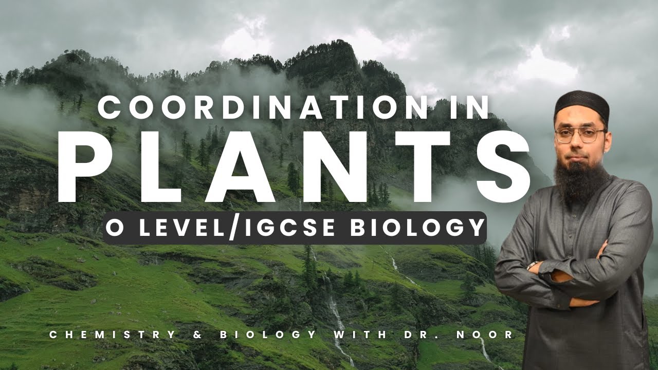 Coordination in Plants – Complete Lecture | O Level Biology