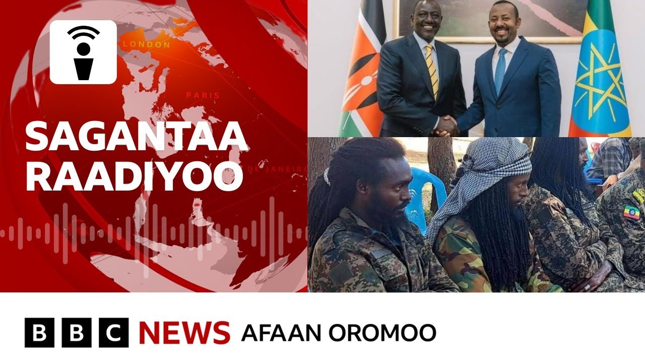 'Hidhattoonni harka kennatan seeraan haa gaafataman'- Jiraattota | BBC News Afaan Oromoo