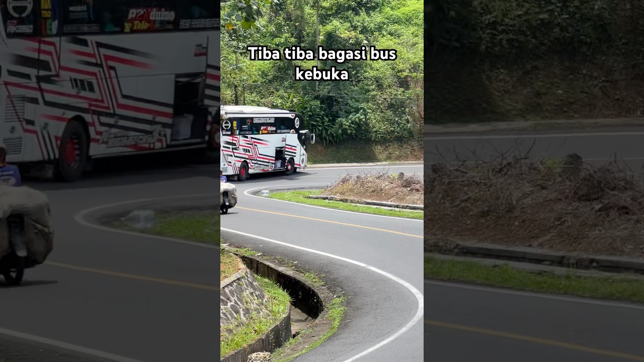 Detik detik bagasi bus kebuka , sigap langsung di bantu ☺️ #basuri #busmania