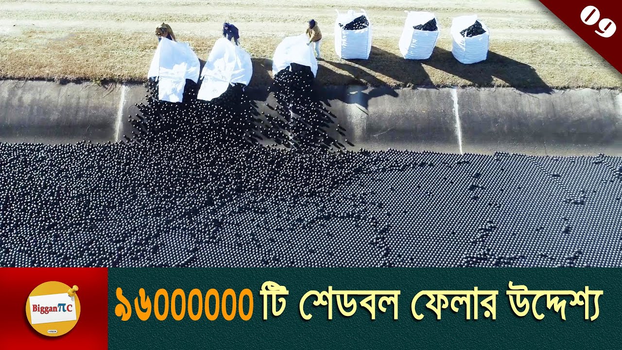 রিজার্ভারে শেড বল ফেলার উদ্দেশ্য Shade Balls purpose in bangla with animation Ep 09