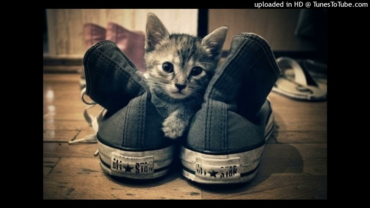 rek mag studygroup type beat - brisk