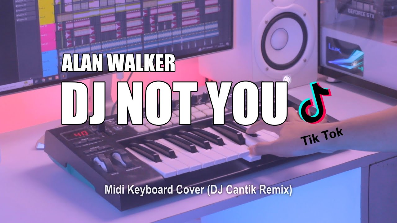 DJ Not You Alan Walker Tik Tok Remix Terbaru 2023 (DJ Cantik Remix)