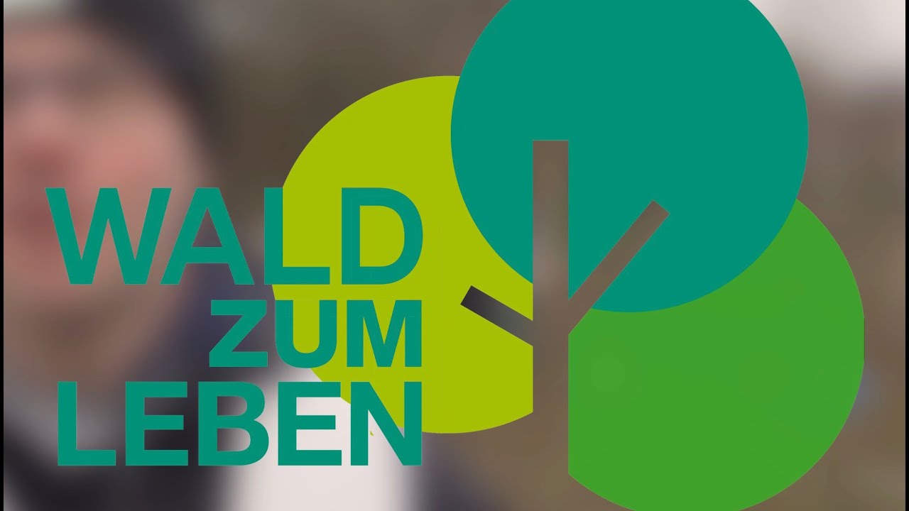Vorstellung der Stiftung Wald zum Leben - Rheinhessen grüner machen