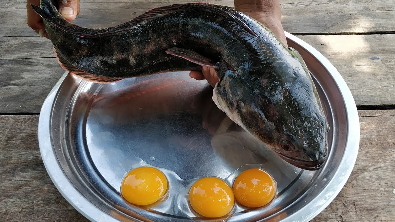 Tasty Crispy Fish Cooking / Frying Crunchy Fish / Kdeb Cooking