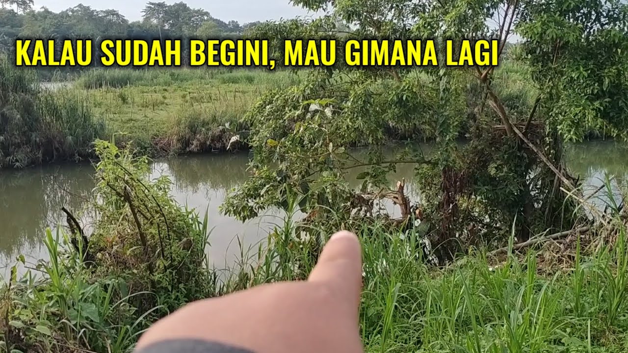 Hal tak terduga di spot maser ikan