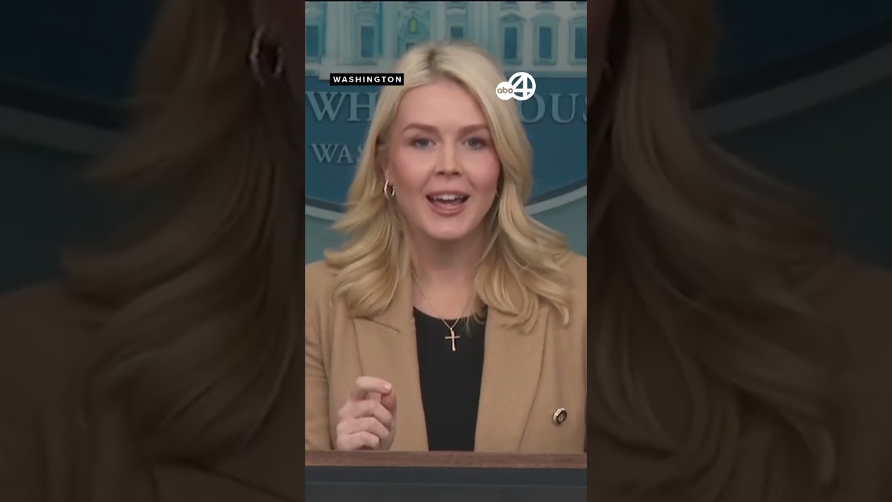 'You're a left-wing hack!' White House slams reporter over question