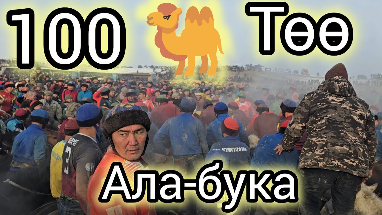 Бугунку Аламан улак 26 январь 2026 Ала-бука Каныбек байдын улагы