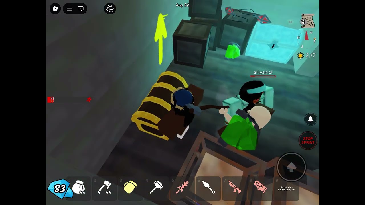 Part 2 a hacker joined me