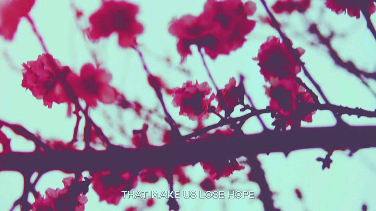 Through Lucid Eyes - Introspection (Official Lyric Video)