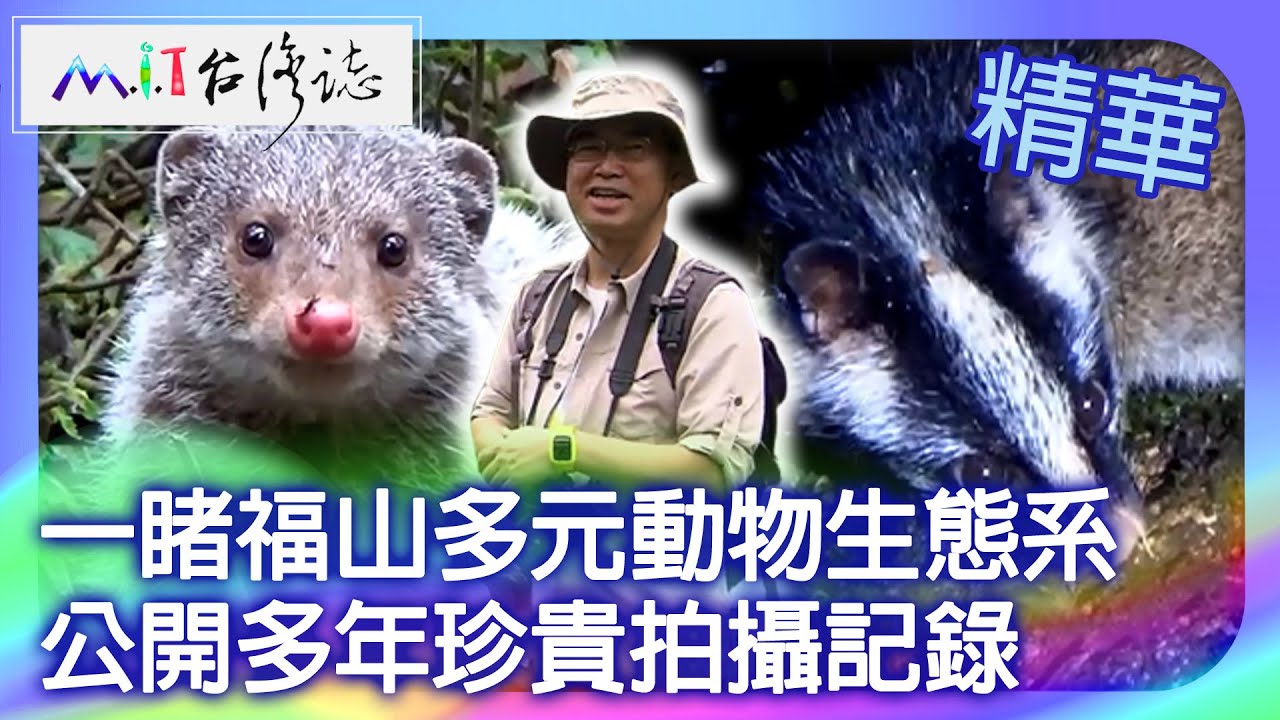 一睹福山多元動物生態系 公開多年珍貴拍攝記錄｜宜蘭縣員山鄉 麥覺明【@ctvmit840集】