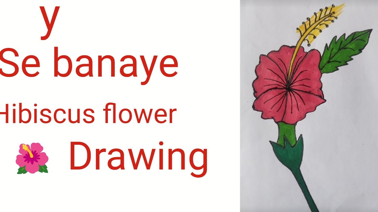 Hibiscus 🌺 Flower Drawing Tricks With Y ll#hibiscusflowerart##easydrawing #youtubevideos 