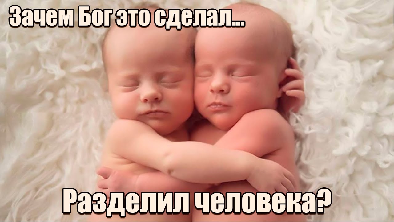 Взял Бог ребро у Адама и создал женщину. Зачем?