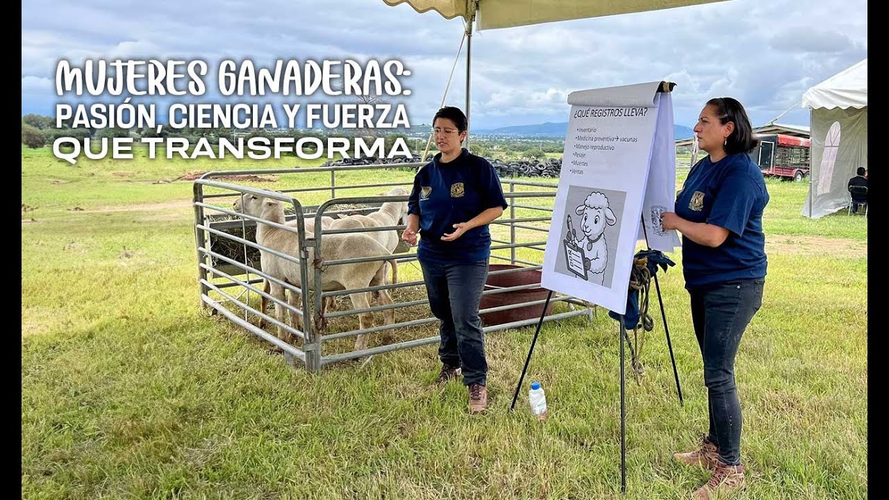 Mujeres pecuarias: igualdad y liderazgo en la producción animal - UNAM Global