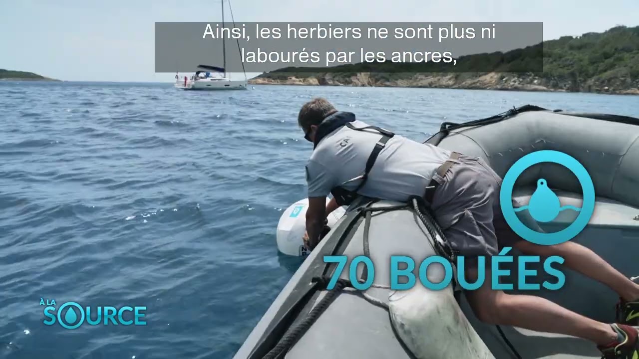 A LA SOURCE - Protection de la posidonie (Port-Cros)