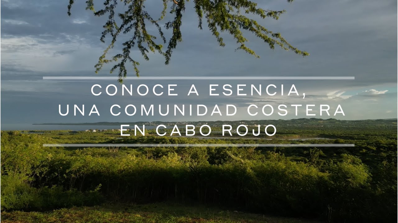 Conoce la propuesta del proyecto Esencia