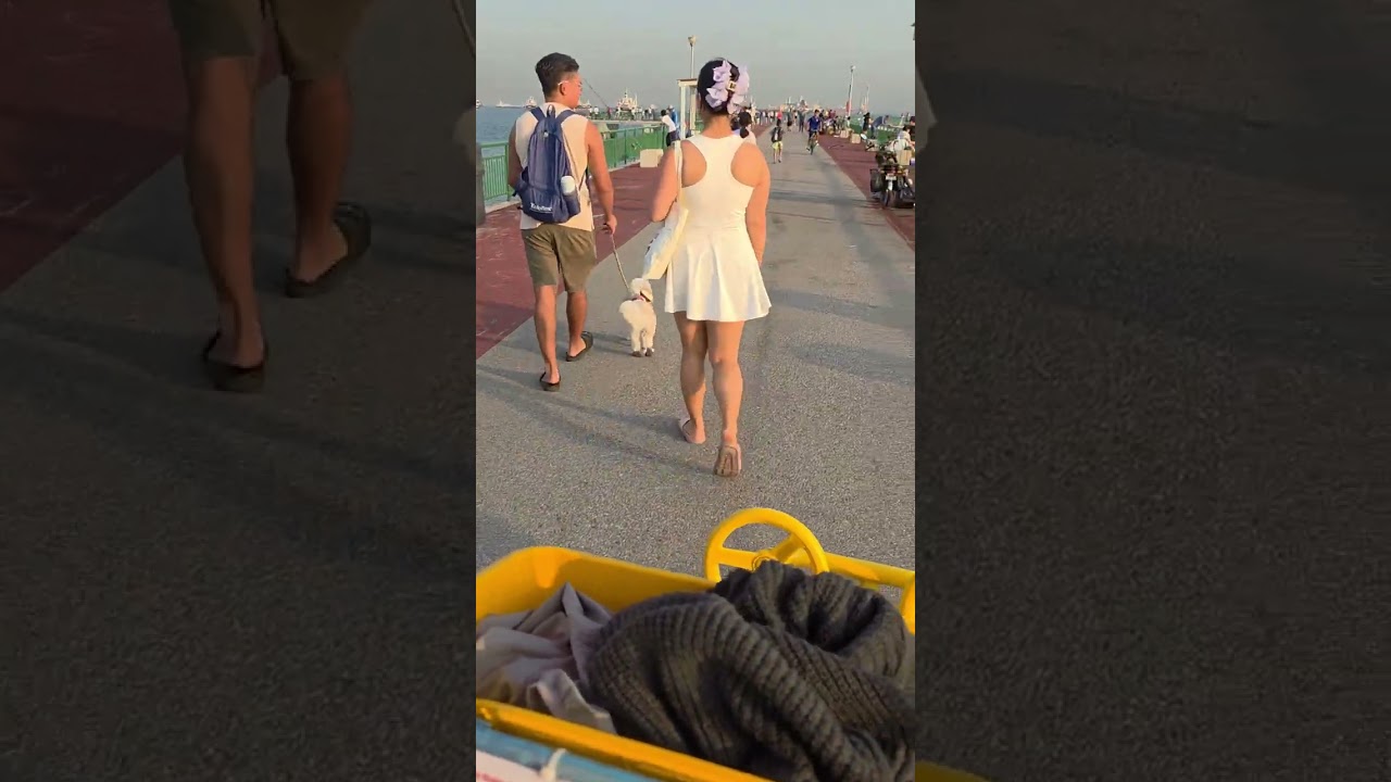 Part 2: Fishing Trip at Bedok Jetty Singapore 🎣 🐟 🐠 🐙 🦑 🪸 🐬 🐋 