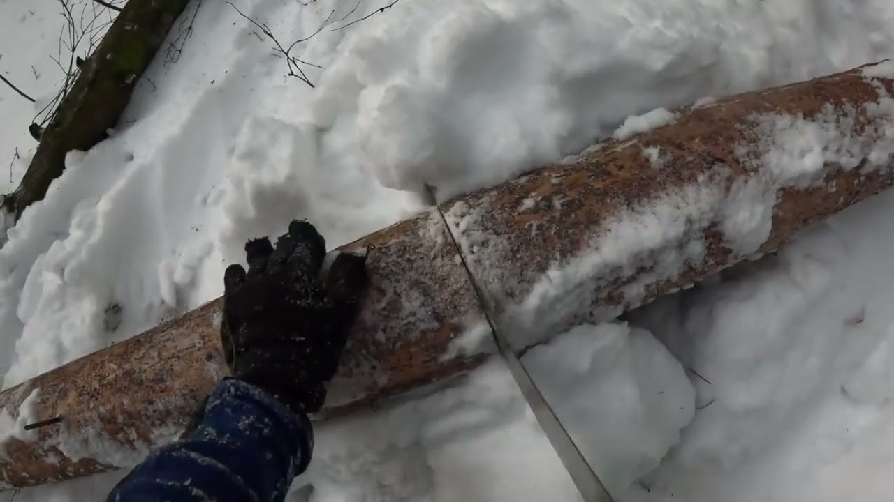 Раскряжевка Сушины и разведение из нее огня