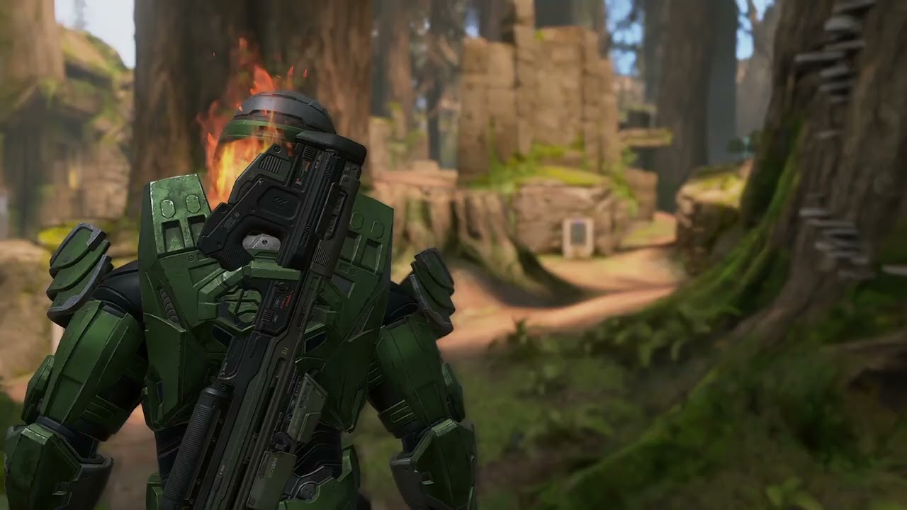 Halo Infinite - Arena Oddball - Forest Map - Multiplayer Gameplay (12th September 2024)