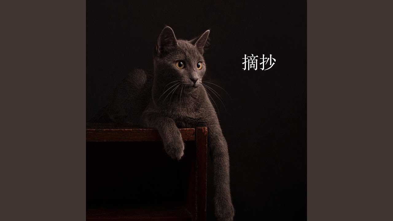 摘抄
