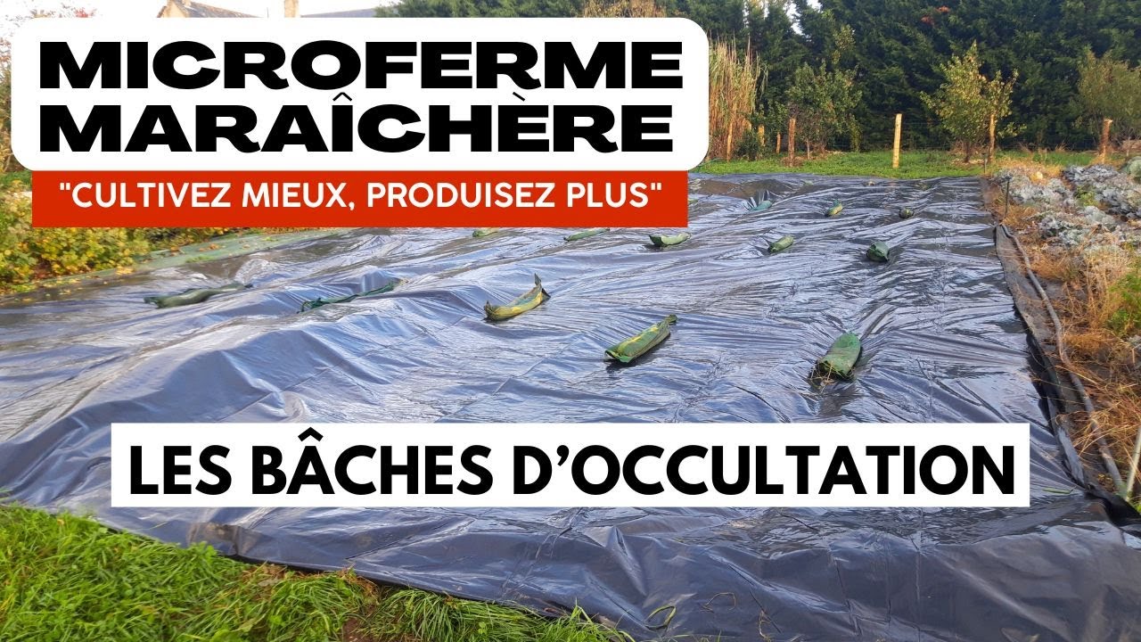 Qu'est-ce que l'occultation en maraîchage ?