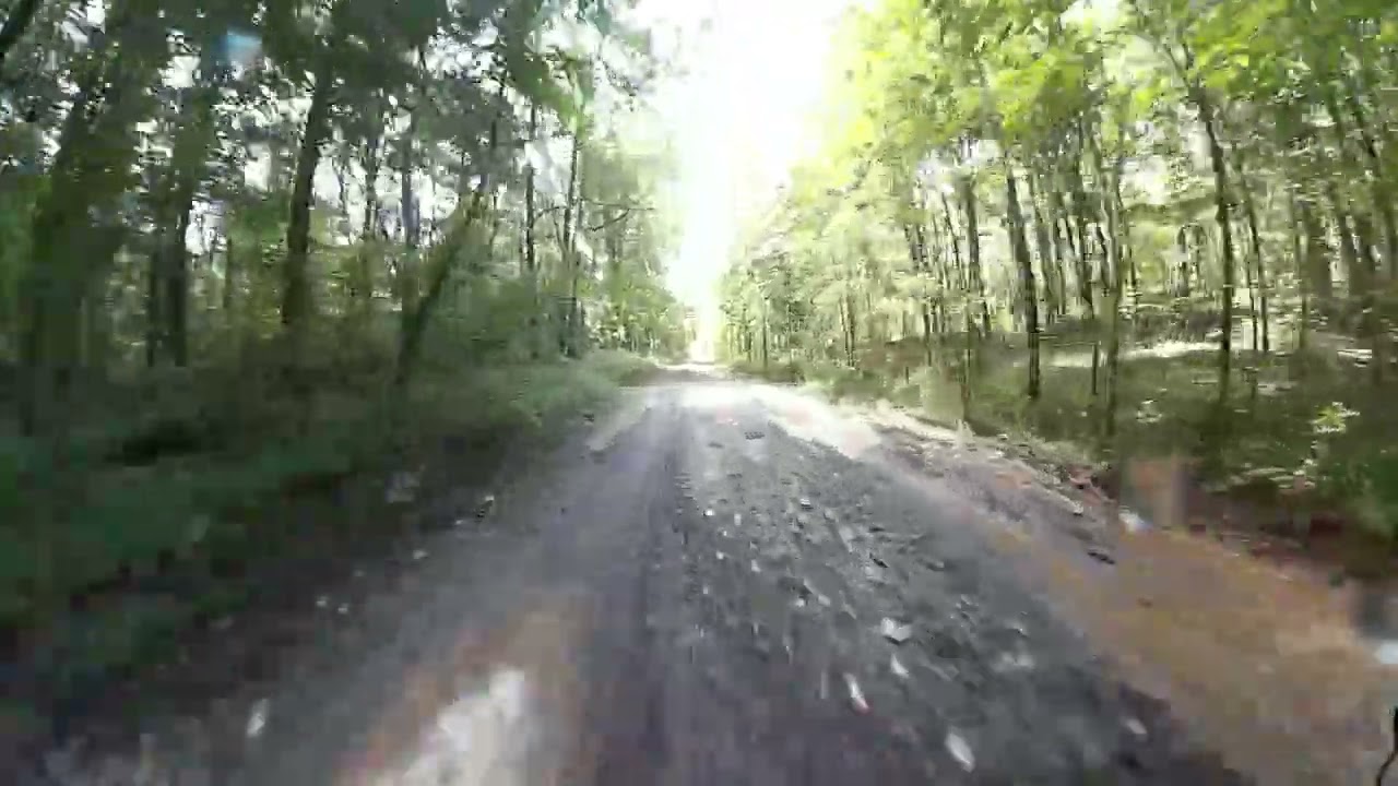 Land Between the Lakes Forest Road 351